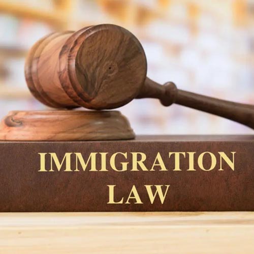 وکیل-متخصص-در-وکالت-دعاوی-حقوق-مهاجرت-در-بم